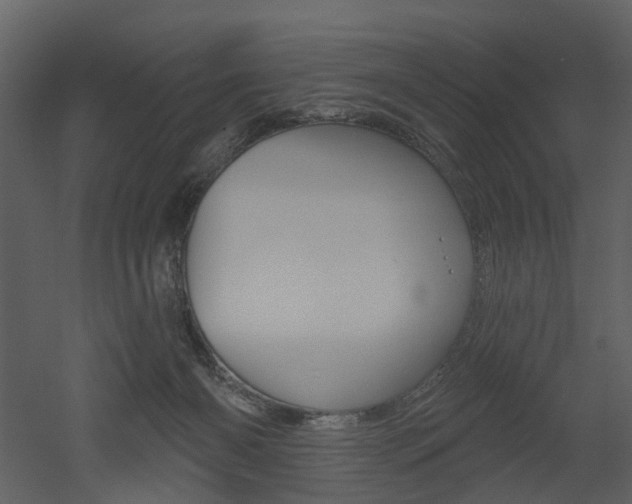 X0000052960126200507080906
