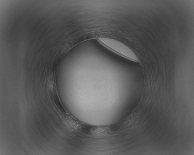 X0000052960129200507080906