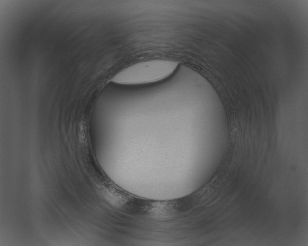 X0000052960130200507080906