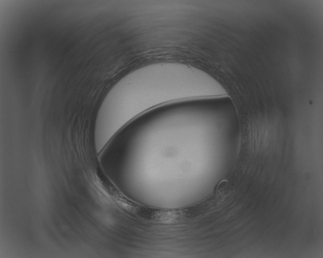 X0000052960131200507080906