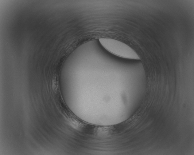 X0000052960134200507080906