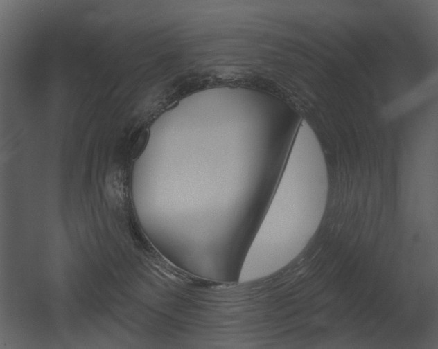 X0000052960135200507080906