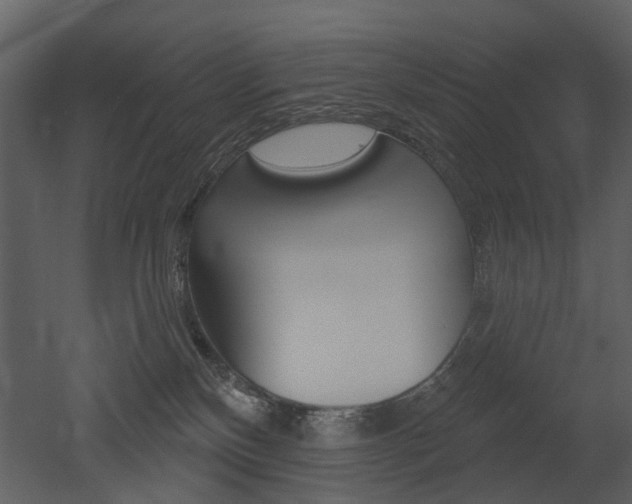 X0000052960136200507080906