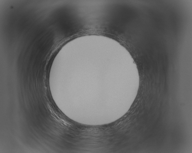 X0000052960146200507080905
