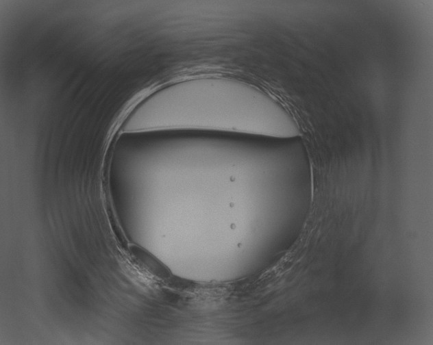 X0000052960147200507080905