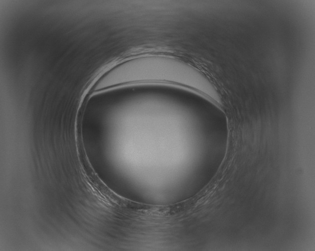 X0000052960148200507080905