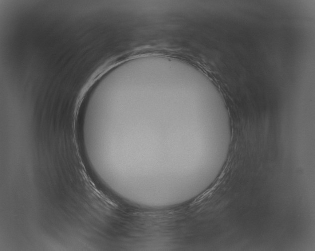 X0000052960150200507080905