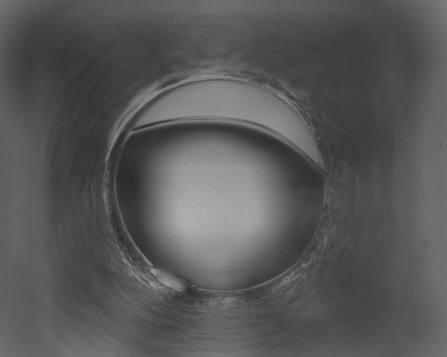 X0000052960152200507080905