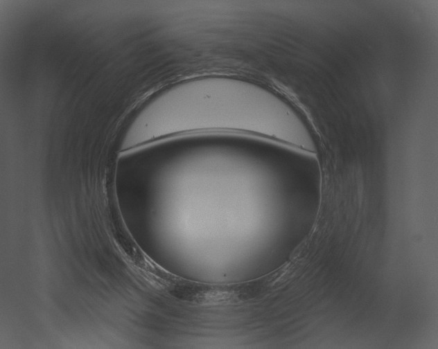 X0000052960154200507080905