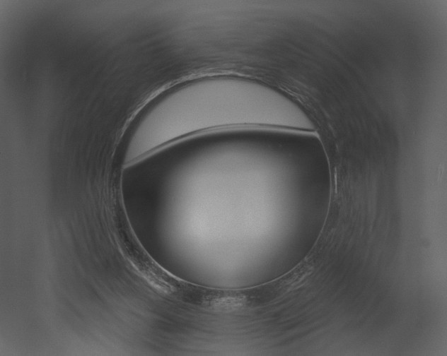 X0000052960156200507080905