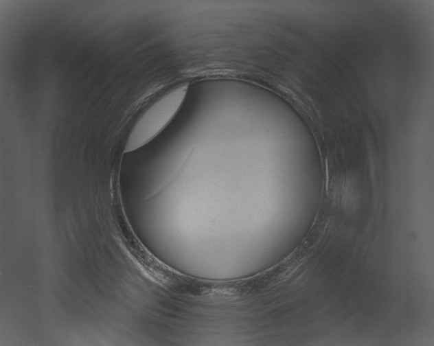X0000052960157200507080905