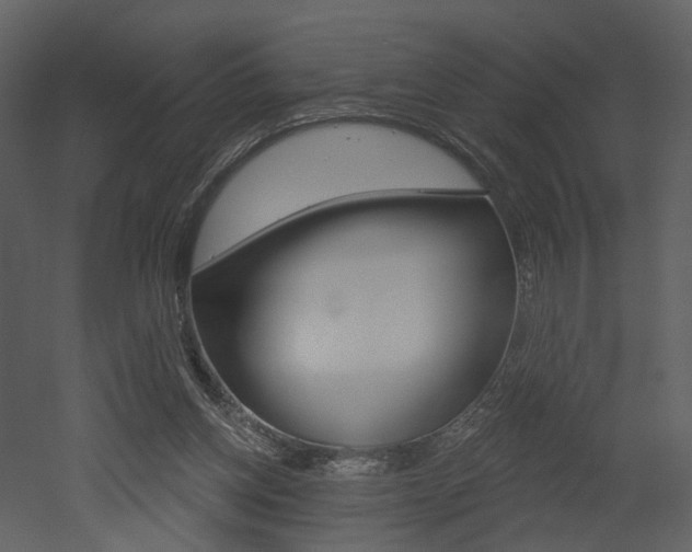 X0000052960158200507080905