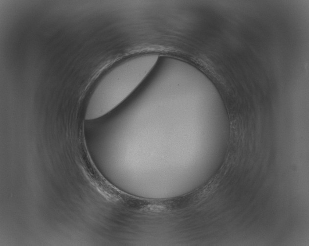 X0000052960159200507080905