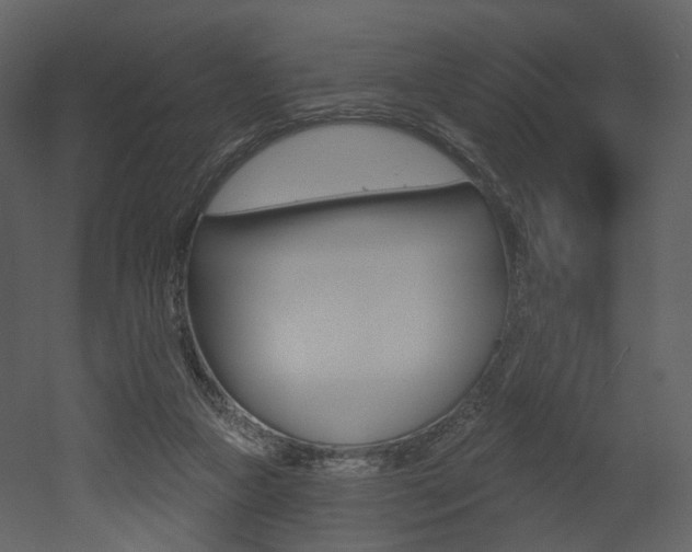X0000052960161200507080905