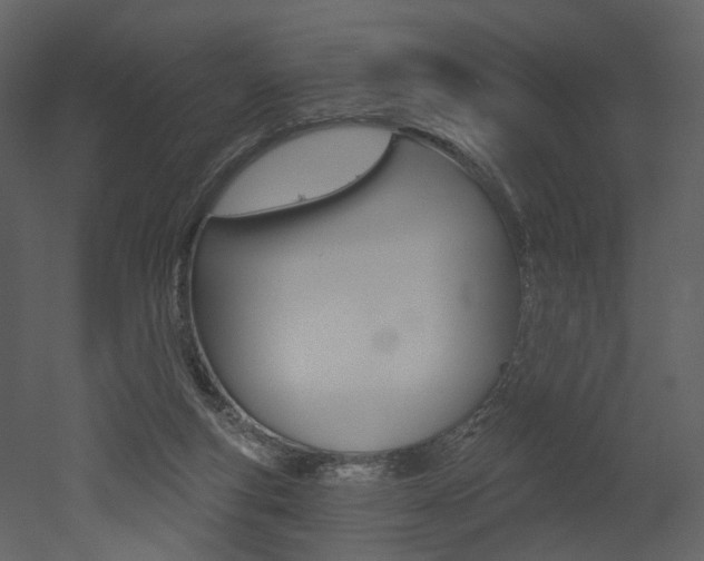 X0000052960163200507080905