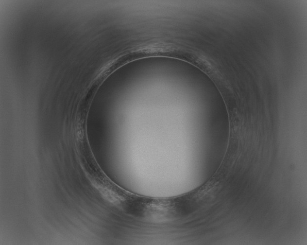 X0000052960164200507080905