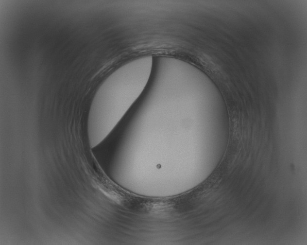 X0000052960165200507080905