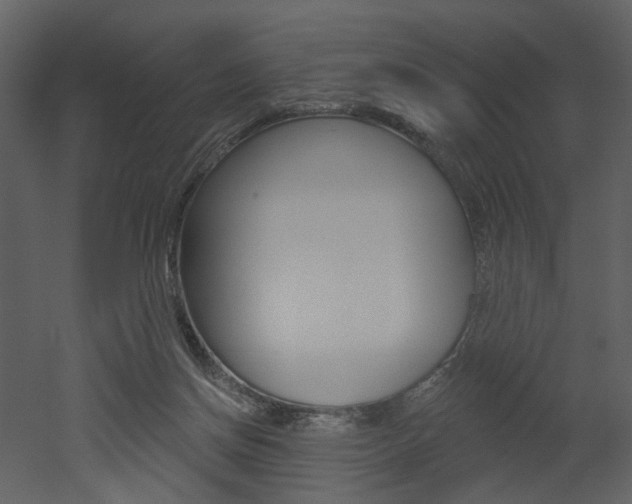 X0000052960166200507080905