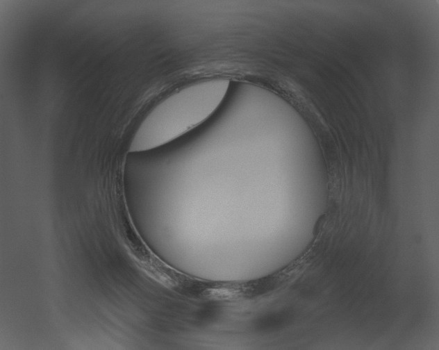 X0000052960167200507080905