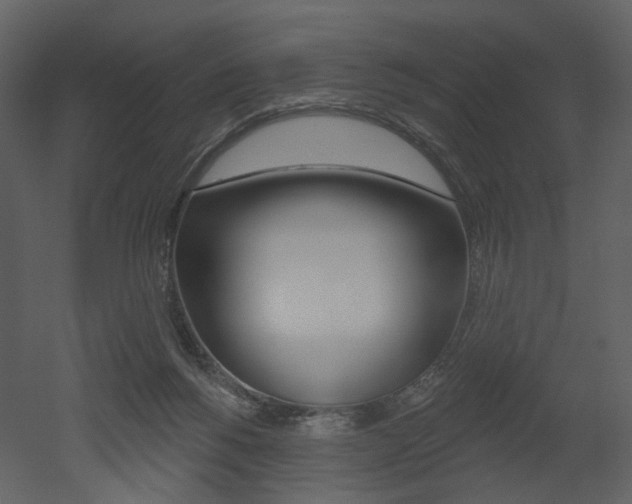 X0000052960168200507080905