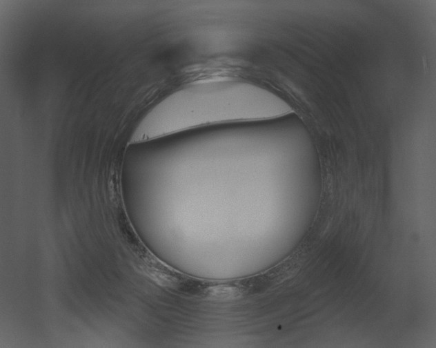 X0000052960169200507080905