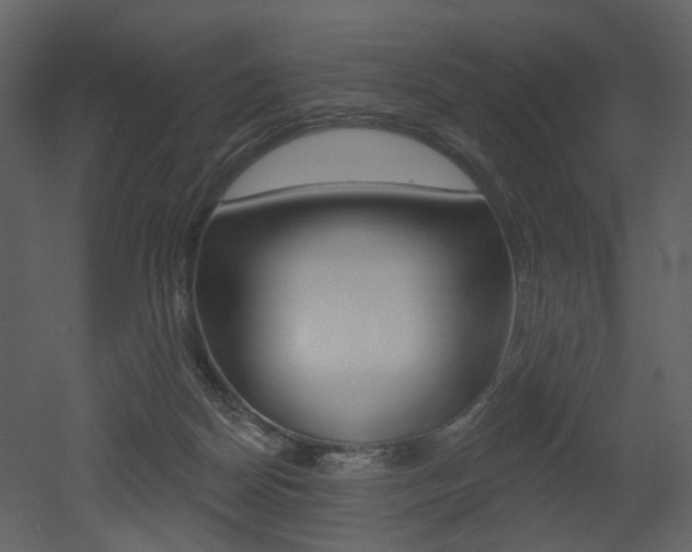 X0000052960170200507080905
