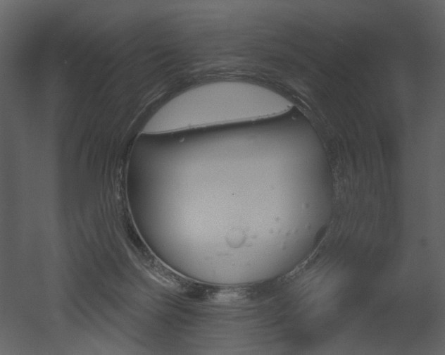 X0000052960171200507080905