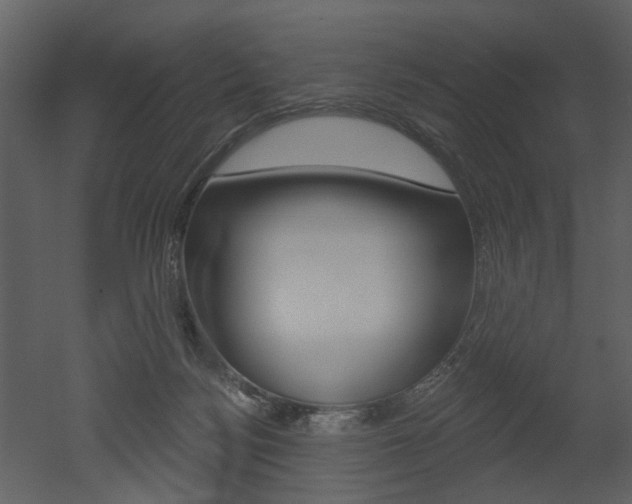 X0000052960172200507080905