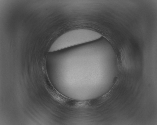 X0000052960175200507080905