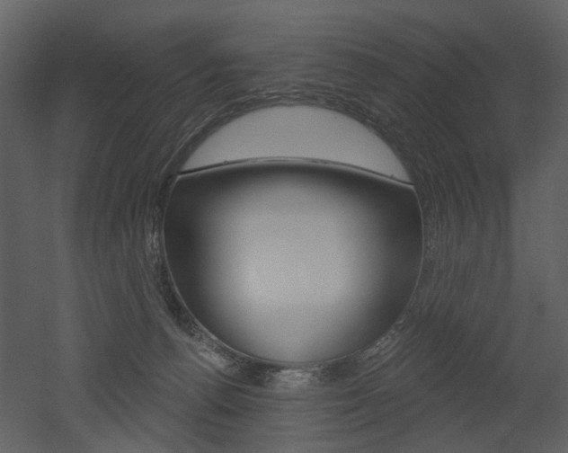 X0000052960176200507080905