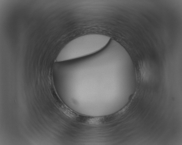 X0000052960178200507080905