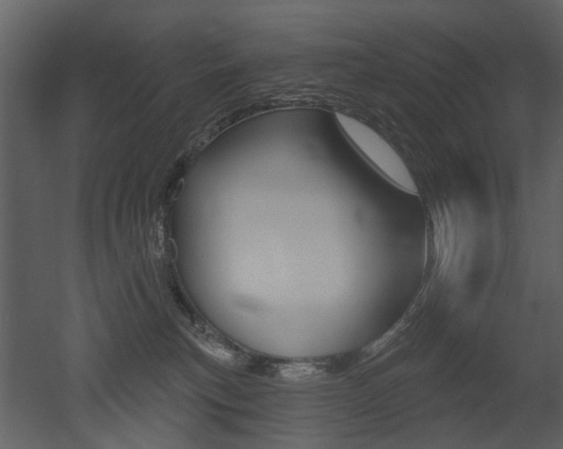 X0000052960183200507080905