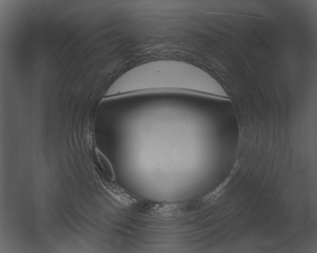 X0000052960186200507080905