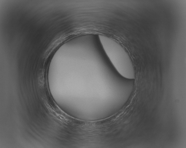 X0000052960194200507080905