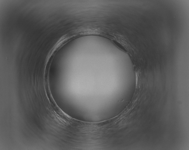 X0000052960195200507080905