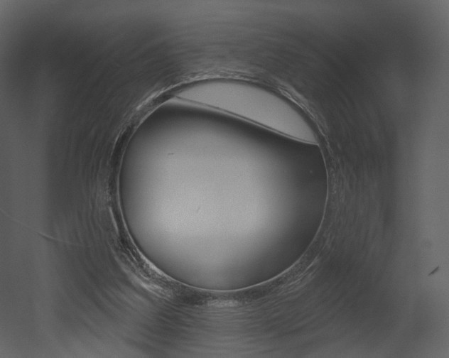 X0000052960203200507080904