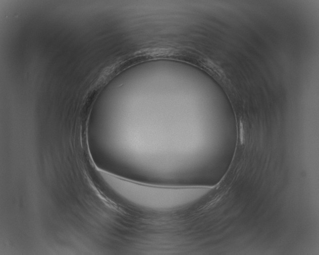 X0000052960205200507080904
