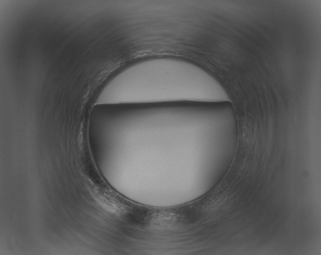 X0000052960206200507080904