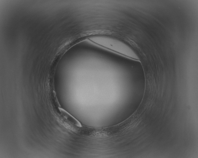 X0000052960207200507080904