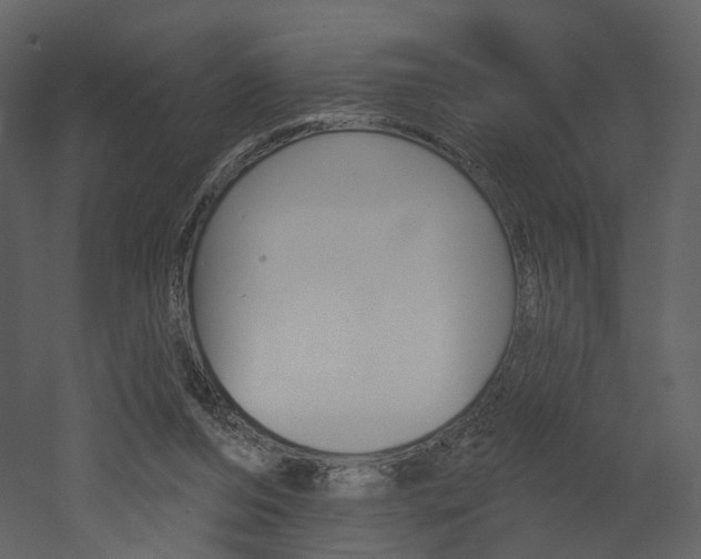 X0000052960208200507080904