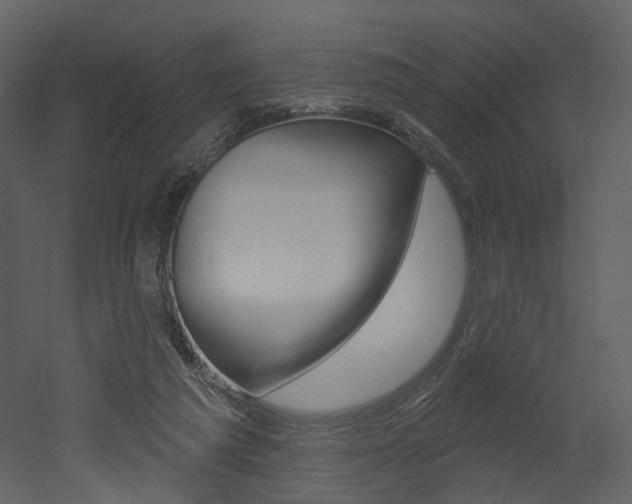 X0000052960209200507080904