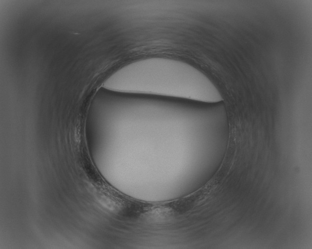 X0000052960210200507080904