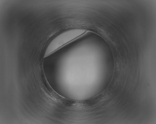X0000052960211200507080904