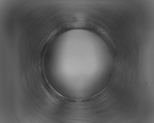 X0000052960212200507080904