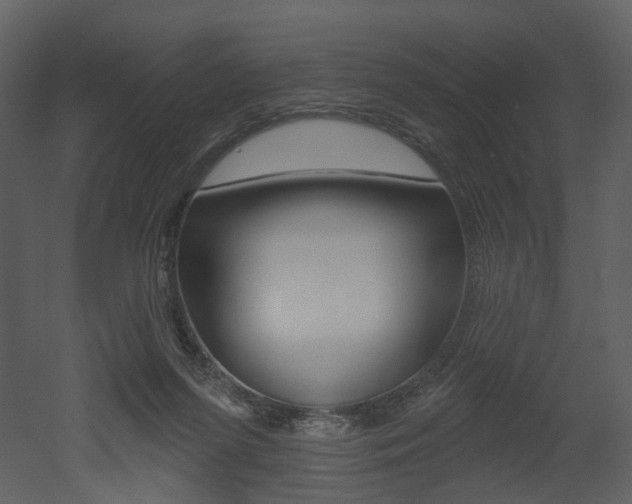 X0000052960215200507080904
