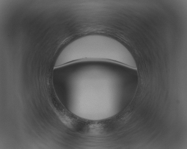 X0000052960216200507080904