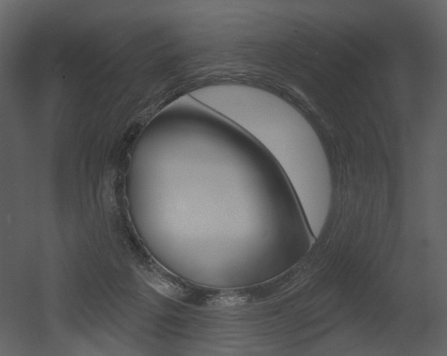 X0000052960217200507080904