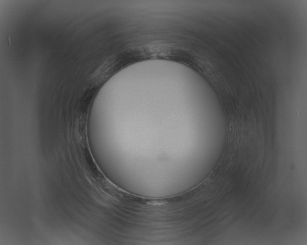 X0000052960218200507080904