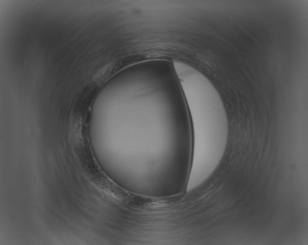 X0000052960219200507080904