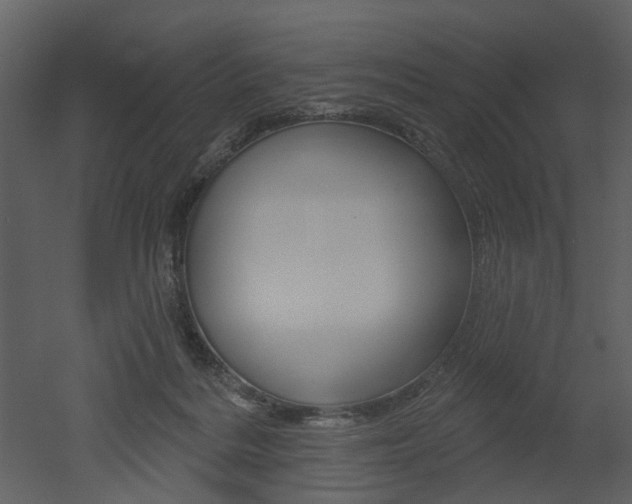 X0000052960220200507080904